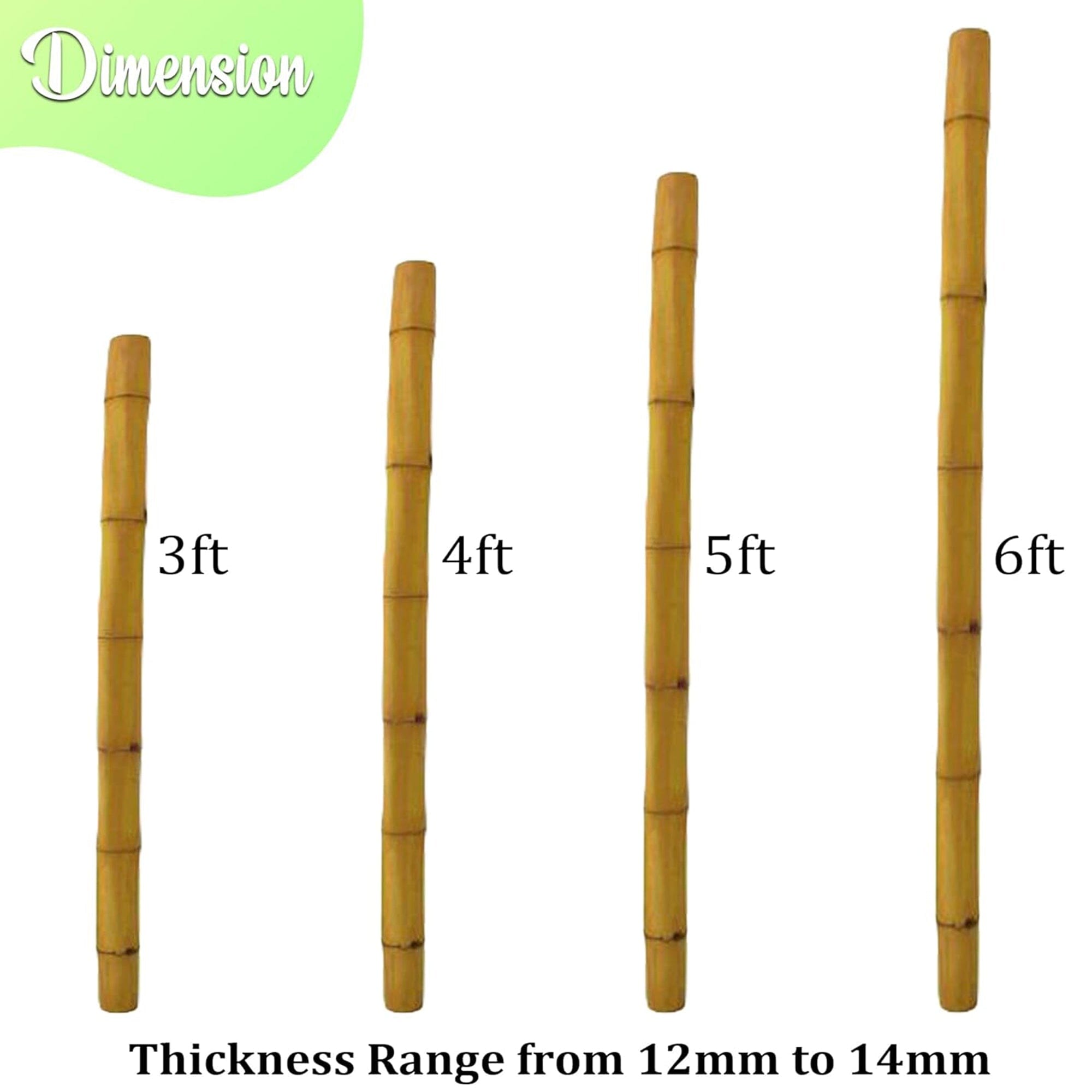 Bamboo Wooden Canes - Homatz